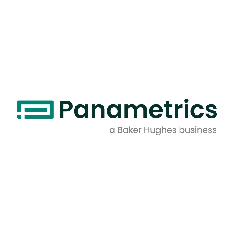 panametrics
